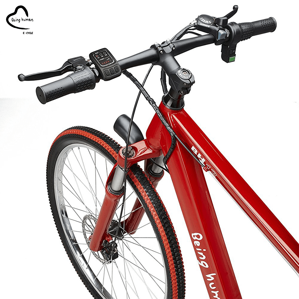 mechanical disc brakes \u0026 LED monitor 